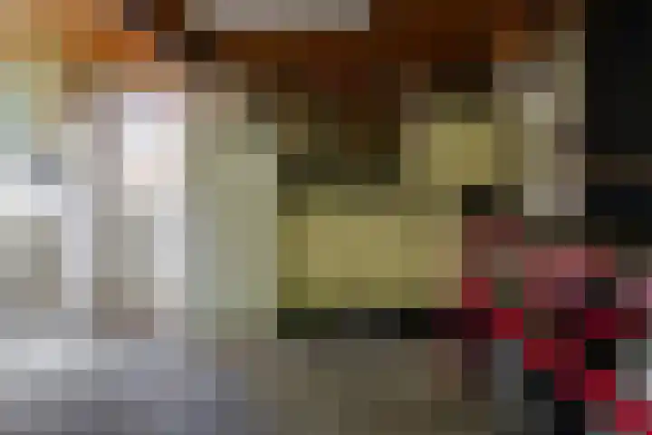 Zwanenweg 7 Daarlerveen thumbnail 37