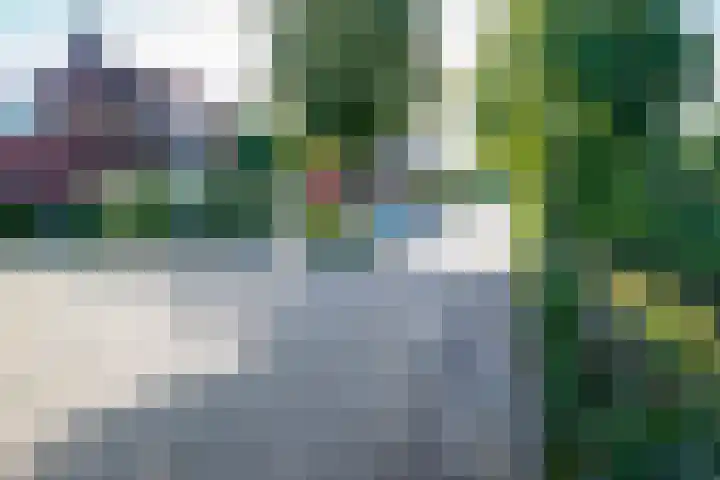 Zwanenweg 7 Daarlerveen thumbnail 39
