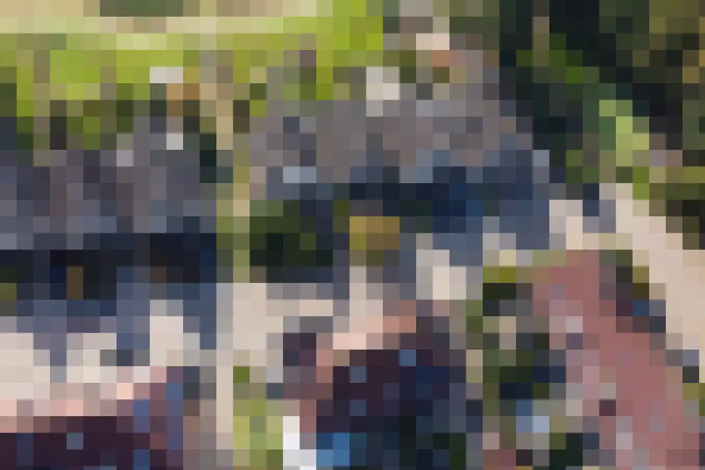 Zwanenweide 15 Baarn thumbnail 31