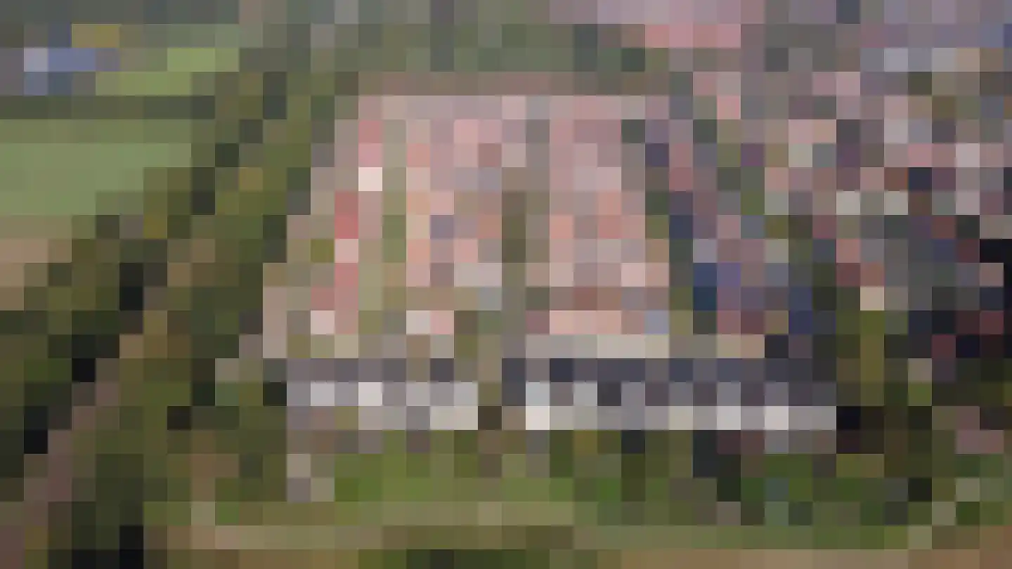 Zwanenweide 15 Baarn thumbnail 32