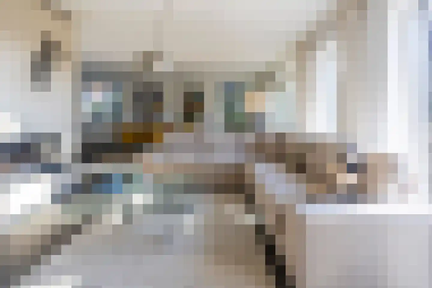Zwanenweide 15 Baarn thumbnail 6