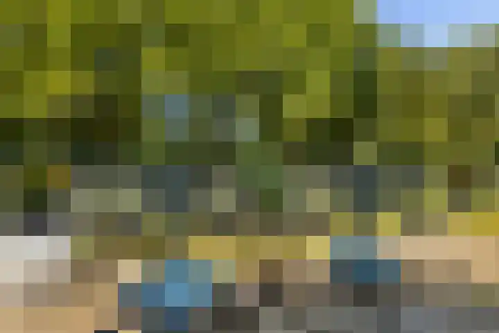Zwanenweide 72 Baarn thumbnail 21