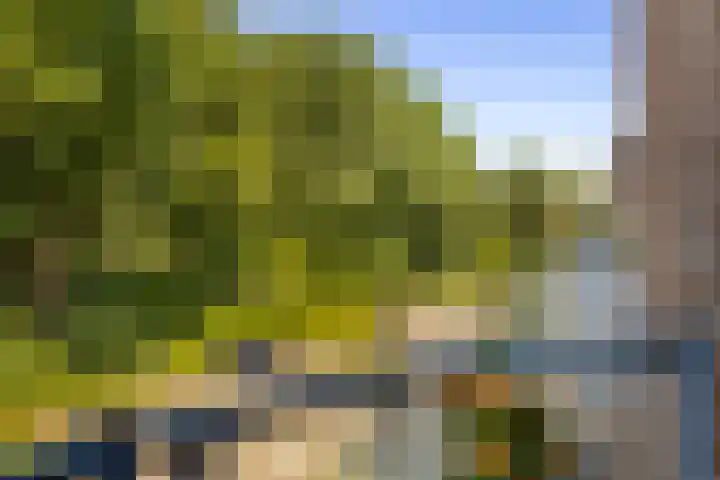 Zwanenweide 72 Baarn thumbnail 23
