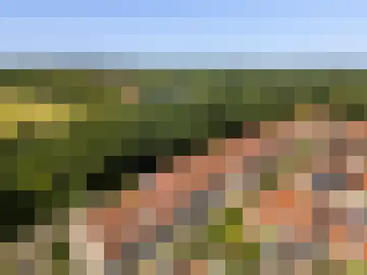 Zwanenweide 72 Baarn thumbnail 27