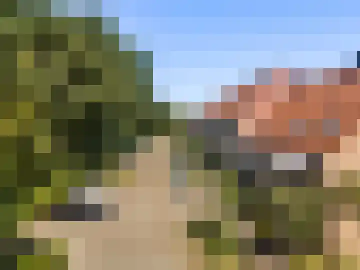 Zwanenweide 72 Baarn thumbnail 29