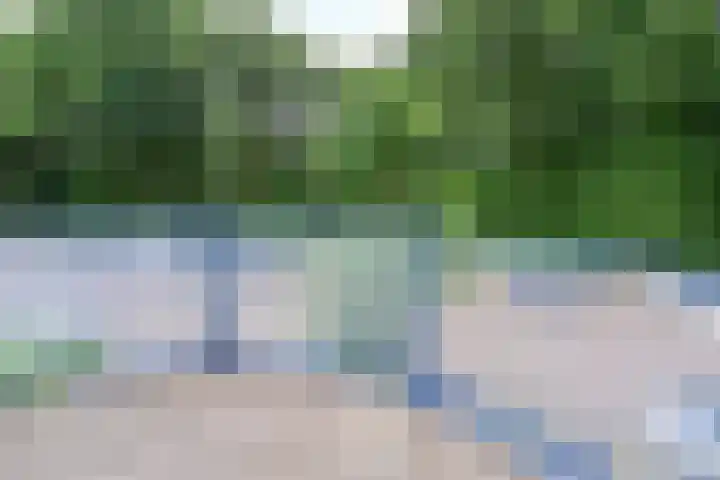 Zwanenweide 86 Baarn thumbnail 10