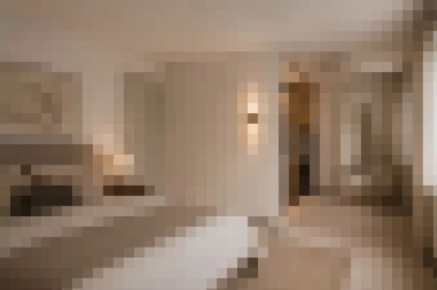 Zwanenzetel 5 Roermond thumbnail 10