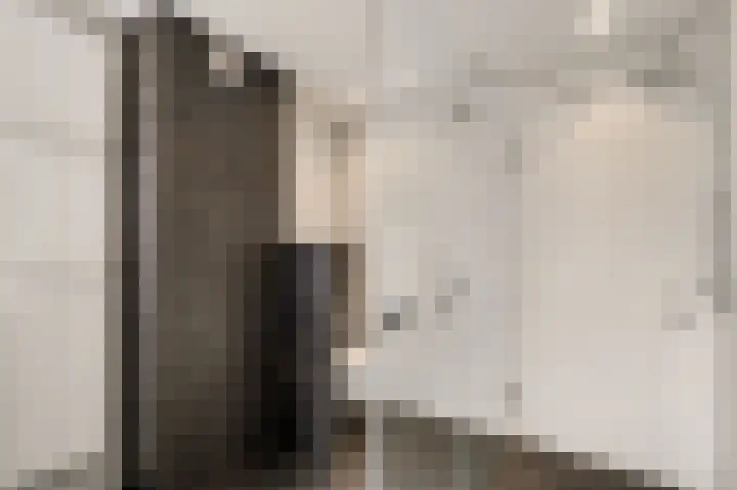 Zwanenzetel 5 Roermond thumbnail 15