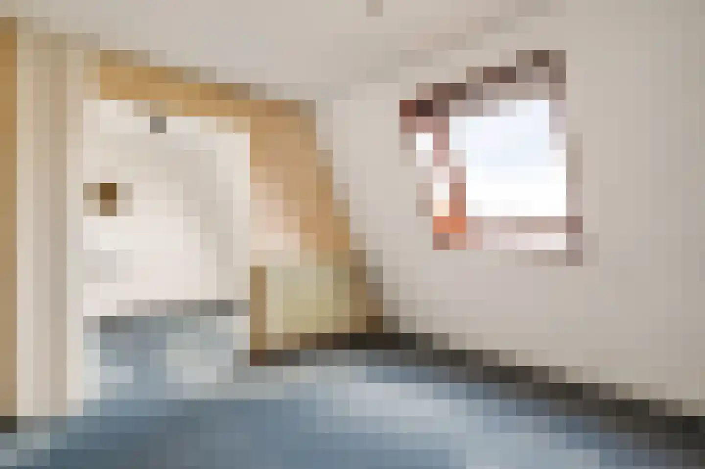 Zwanenzetel 5 Roermond thumbnail 17