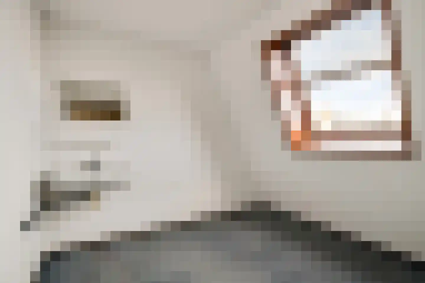 Zwanenzetel 5 Roermond thumbnail 19