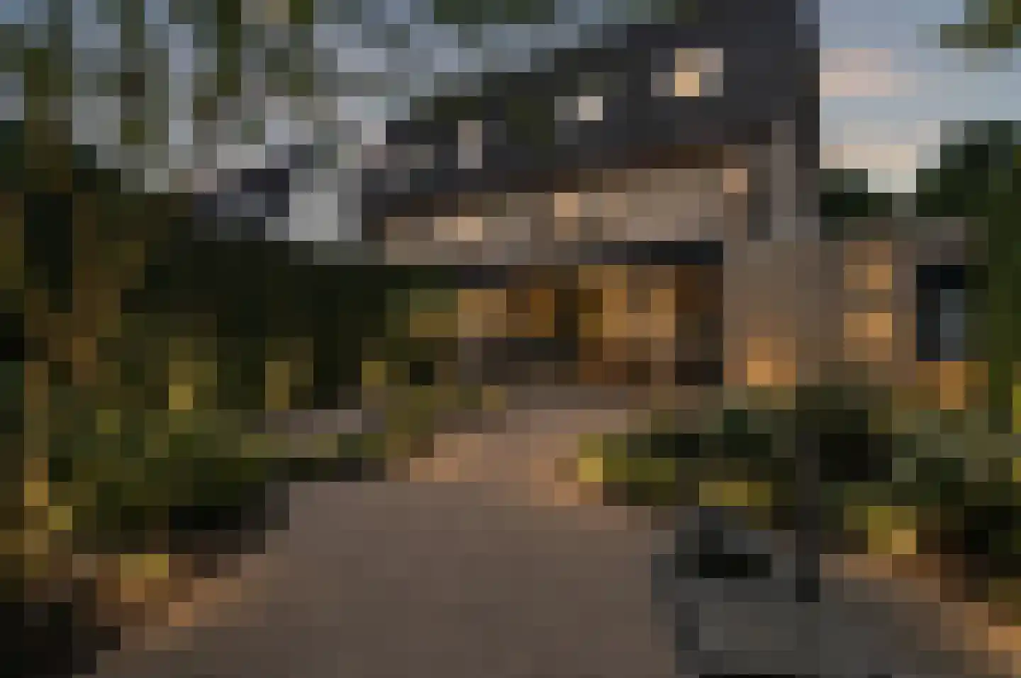 Zwanenzetel 5 Roermond thumbnail 21