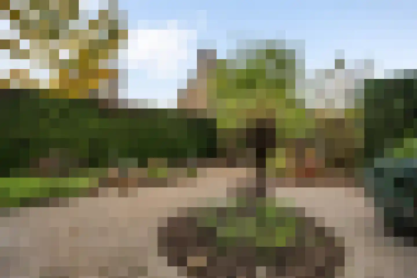 Zwanenzetel 5 Roermond thumbnail 23