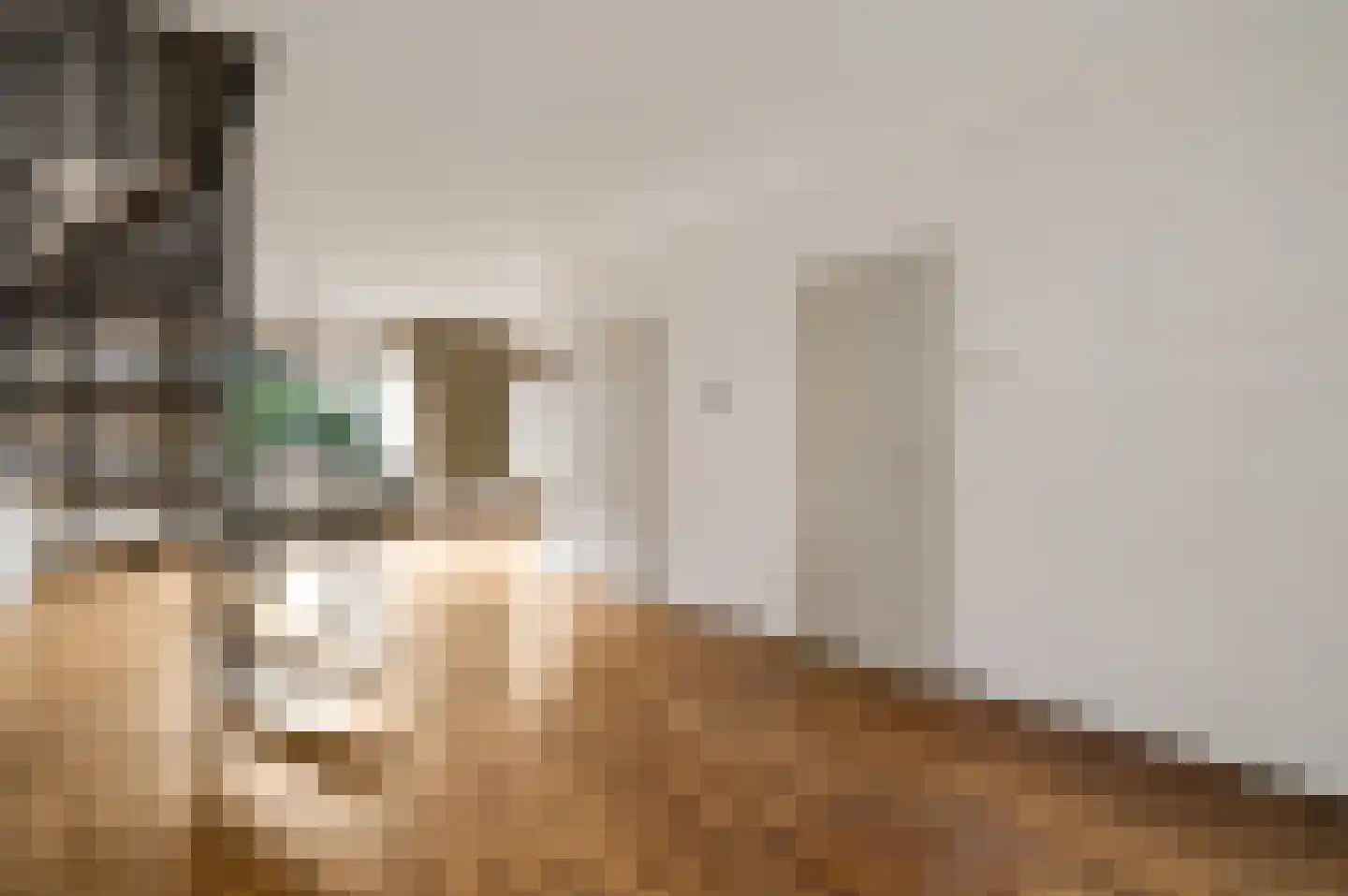 Zwanenzetel 5 Roermond thumbnail 4