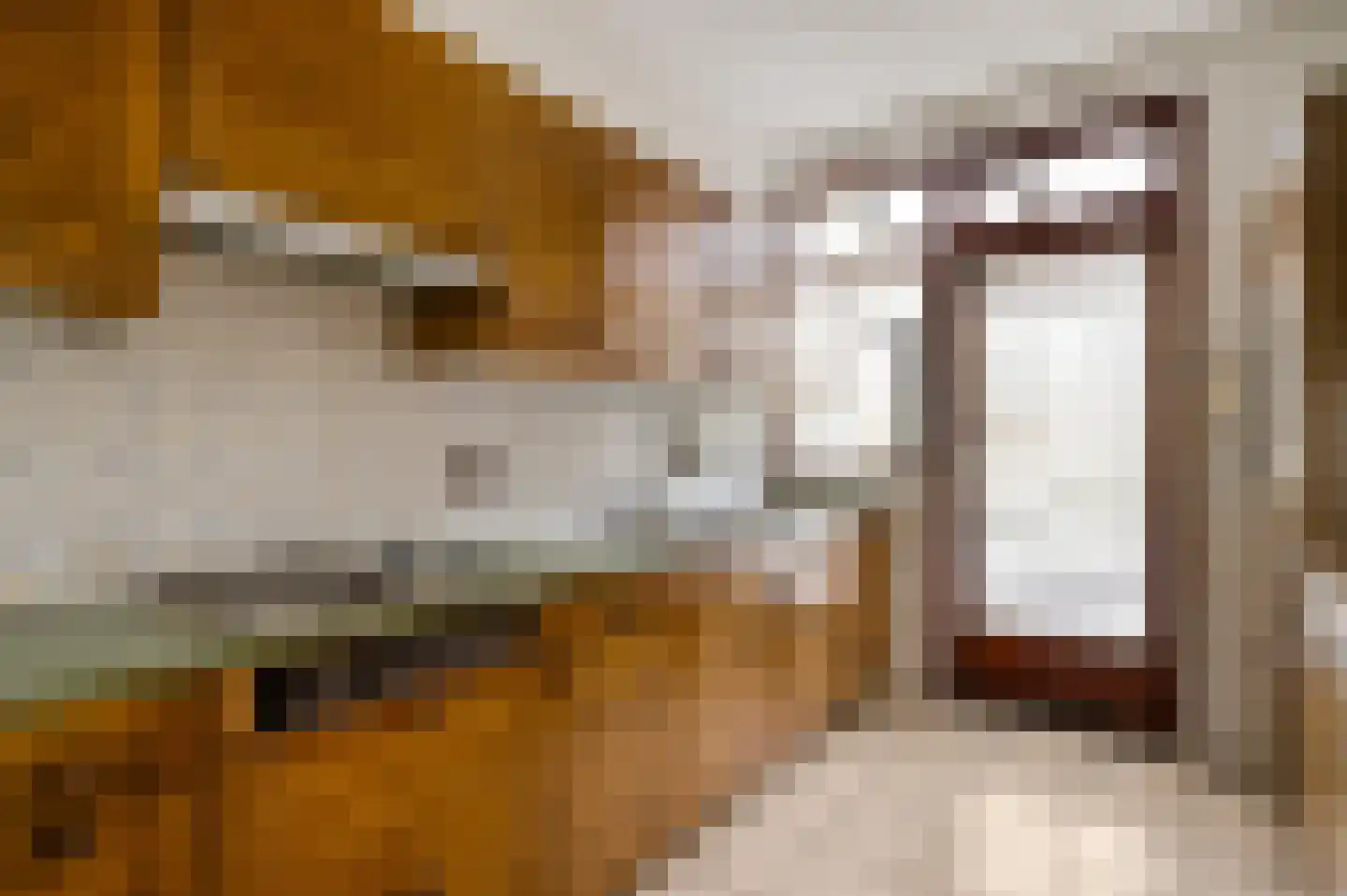 Zwanenzetel 5 Roermond thumbnail 6