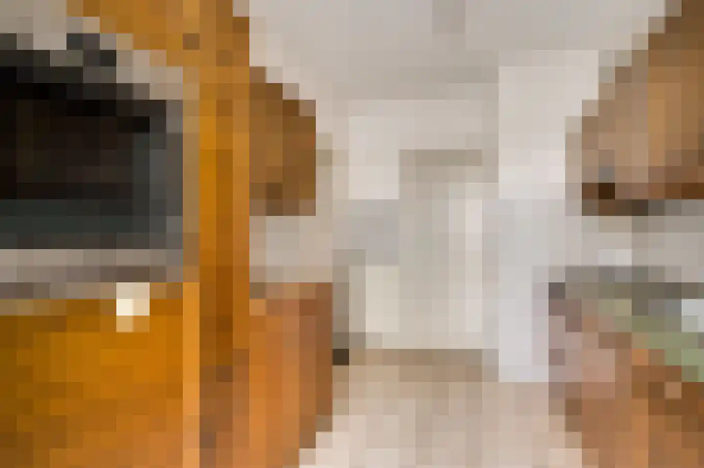 Zwanenzetel 5 Roermond thumbnail 7
