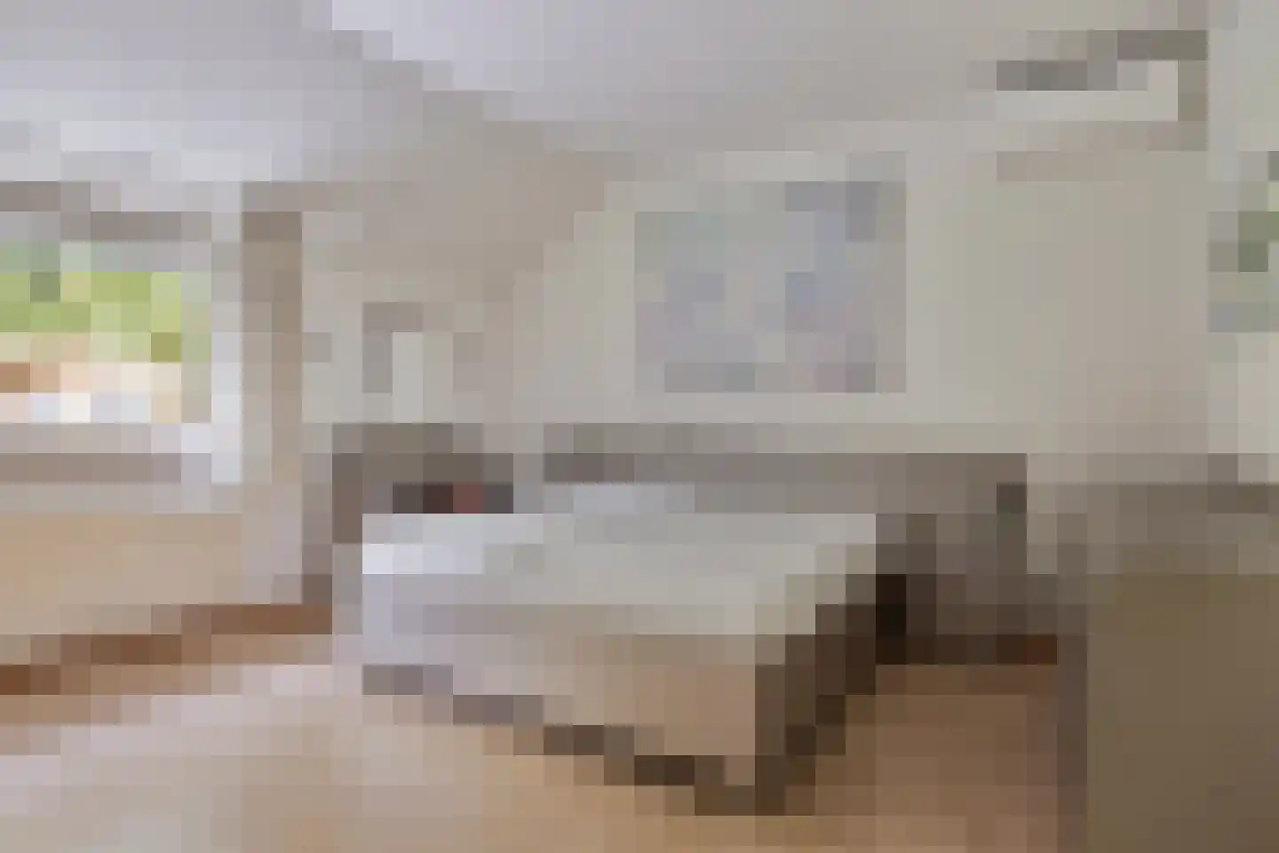 Zwanenzetel 6 Roermond thumbnail 12