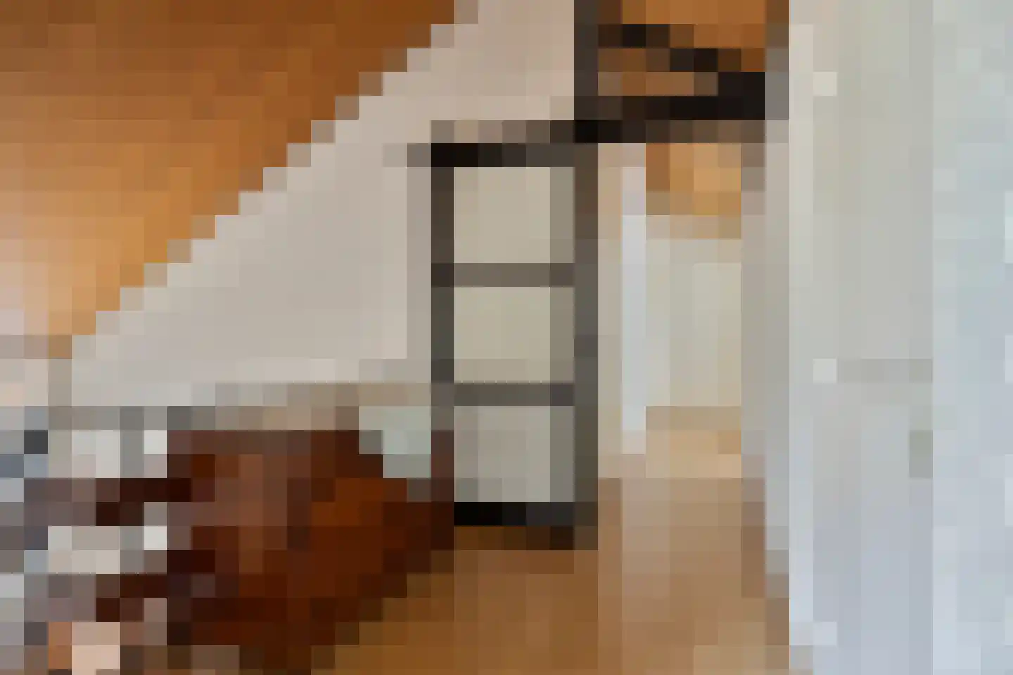 Zwanenzetel 6 Roermond thumbnail 18