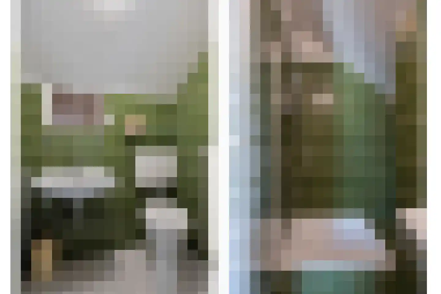 Zwanenzetel 6 Roermond thumbnail 21
