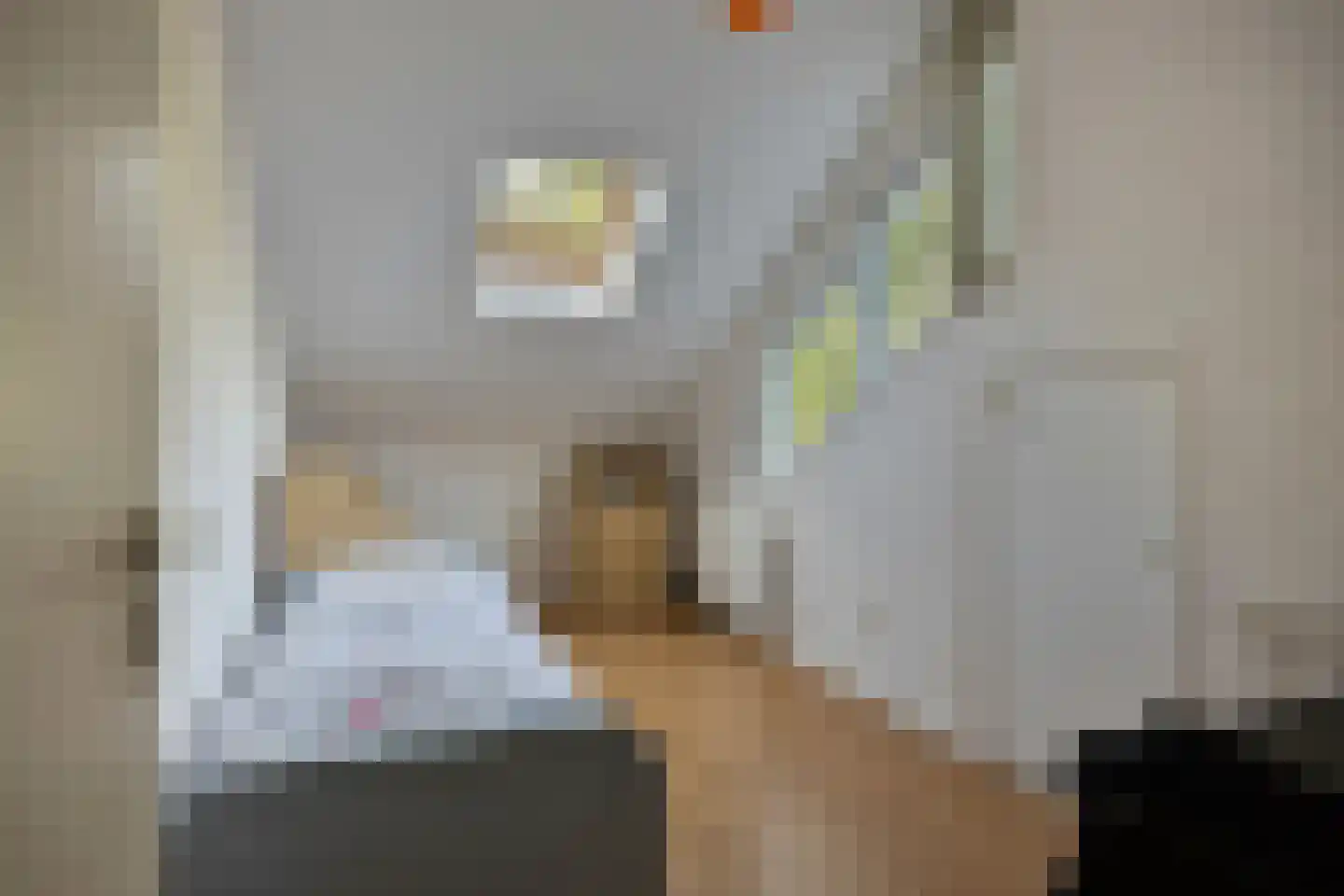 Zwanenzetel 6 Roermond thumbnail 24