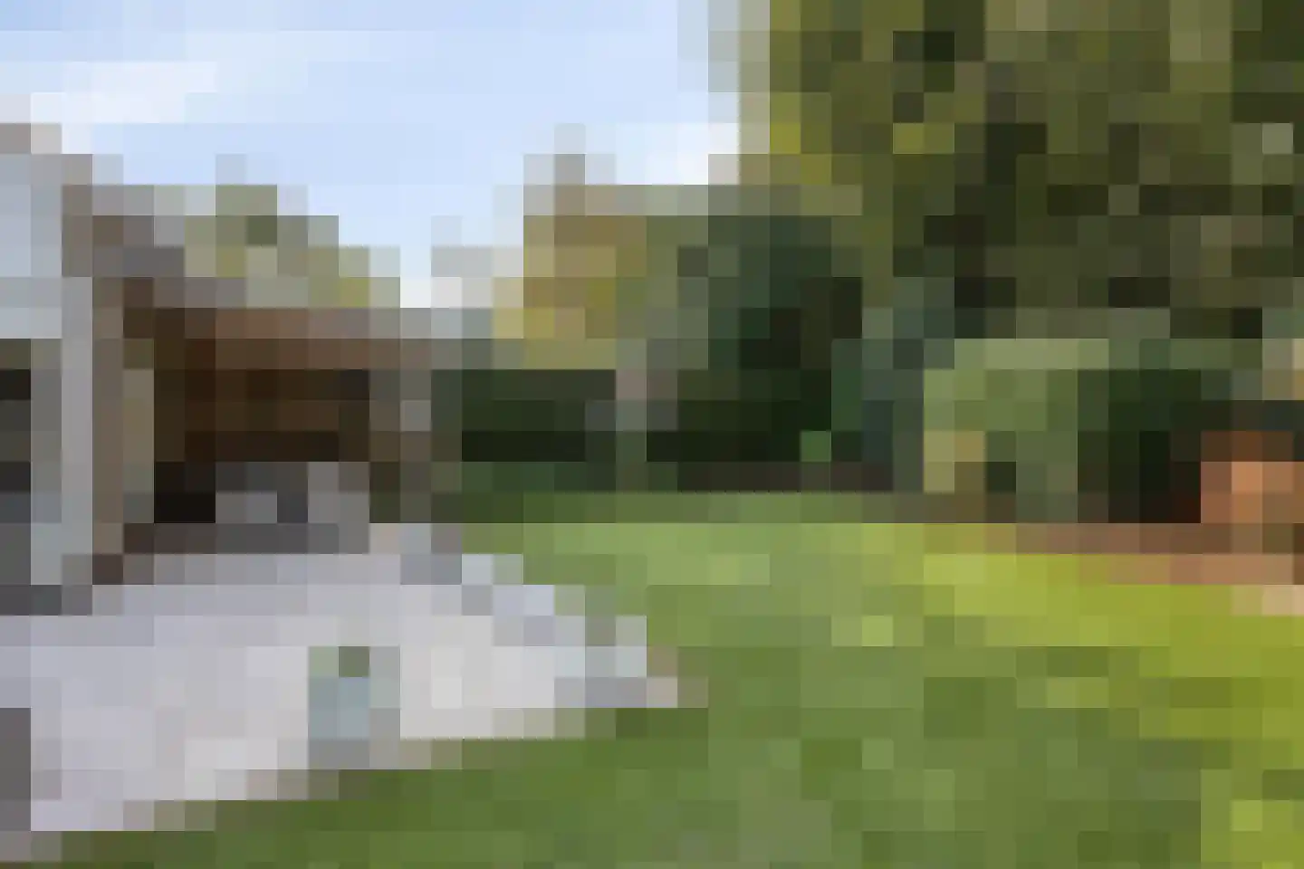 Zwanenzetel 6 Roermond thumbnail 29