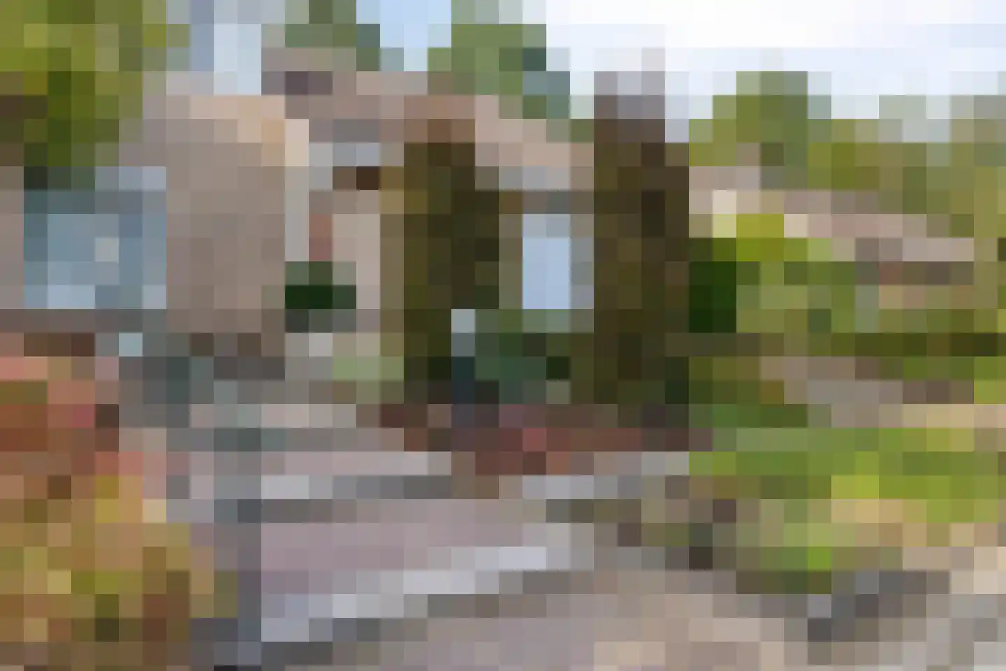 Zwanenzetel 6 Roermond thumbnail 31