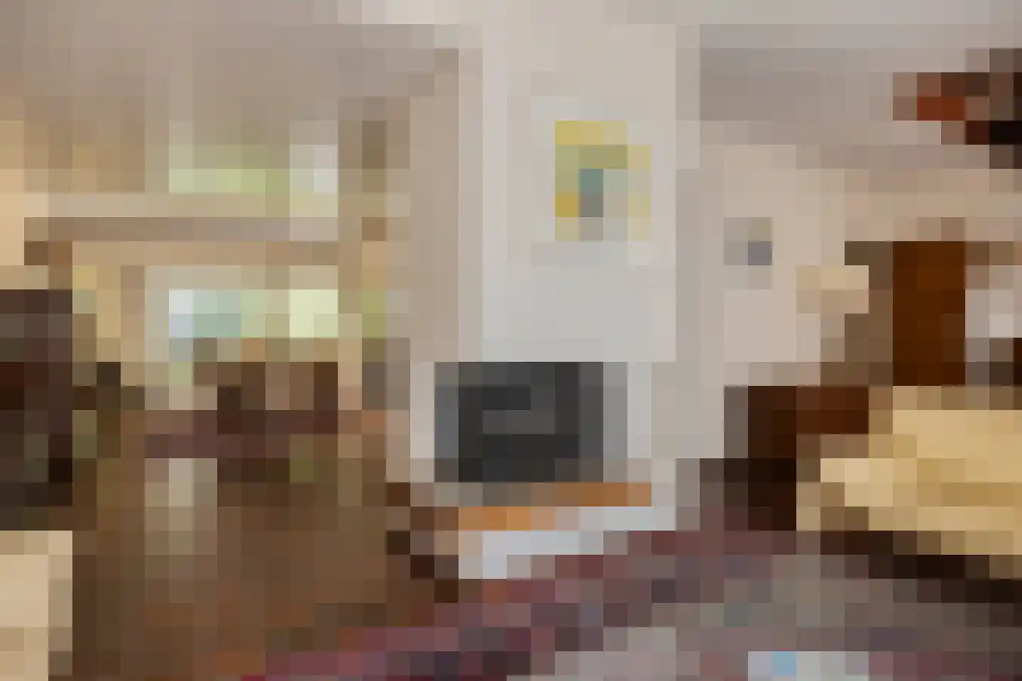 Zwanenzetel 6 Roermond thumbnail 6