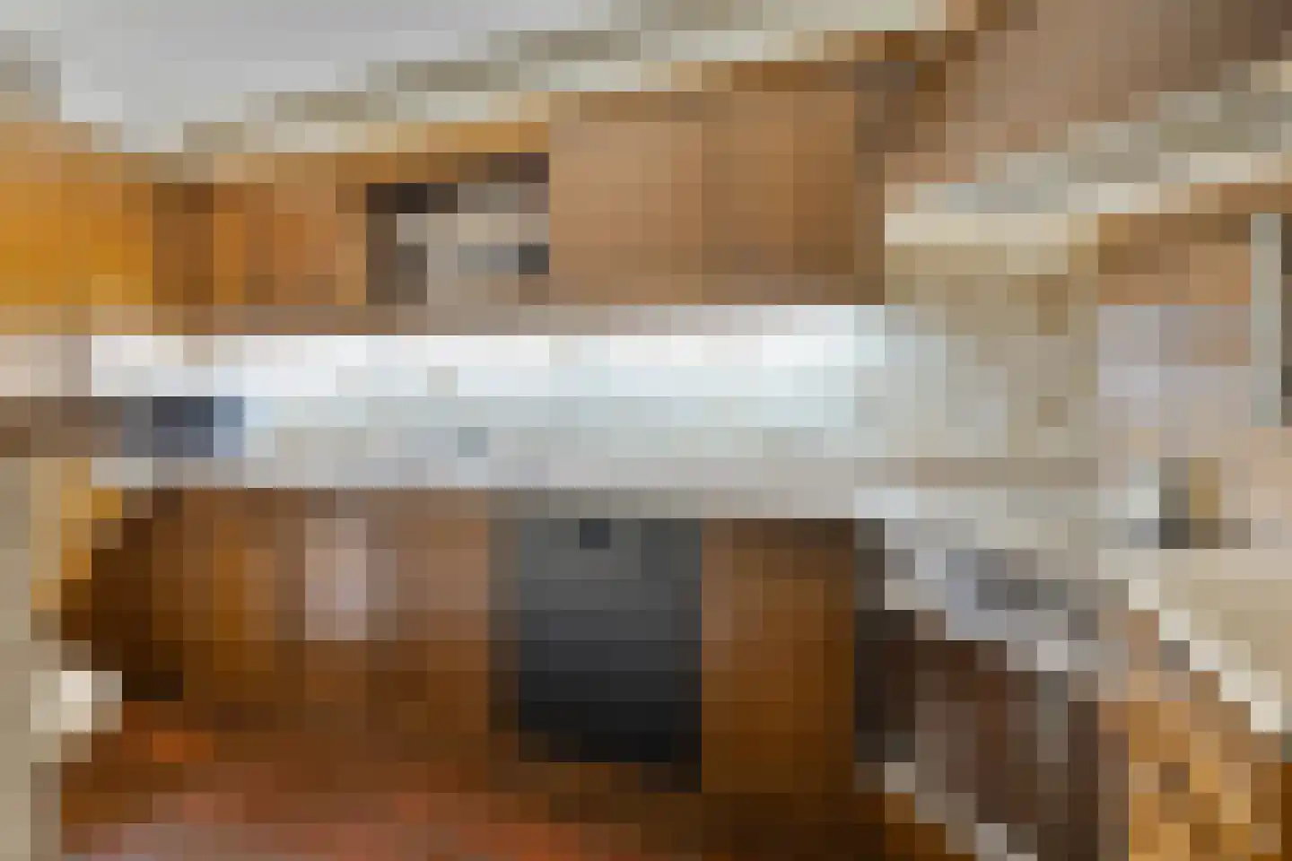 Zwanenzetel 6 Roermond thumbnail 9