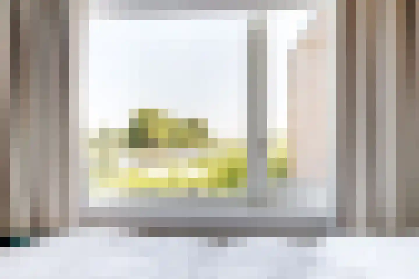 Zwanenzijde 14 Leiden thumbnail 22