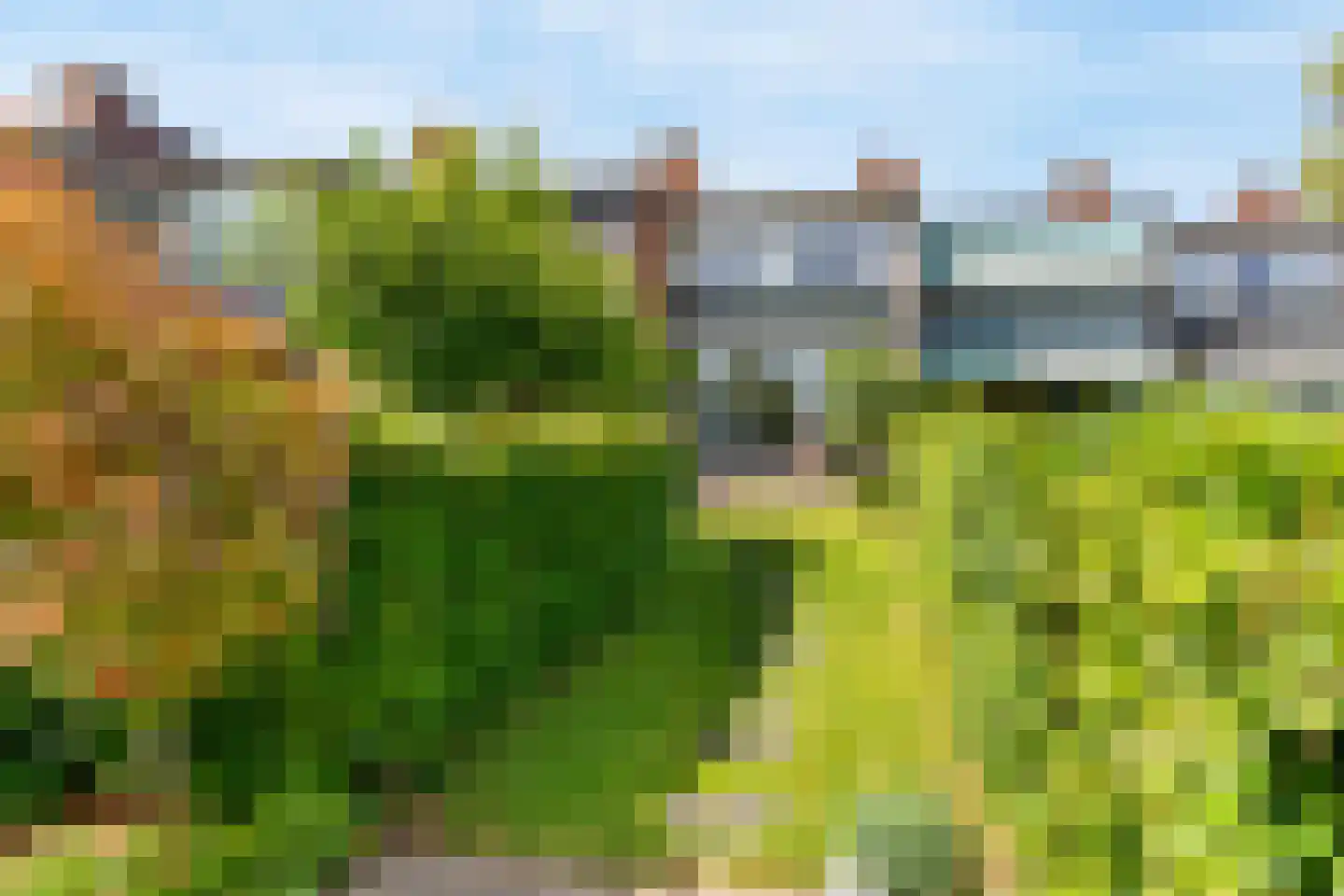Zwanenzijde 14 Leiden thumbnail 33