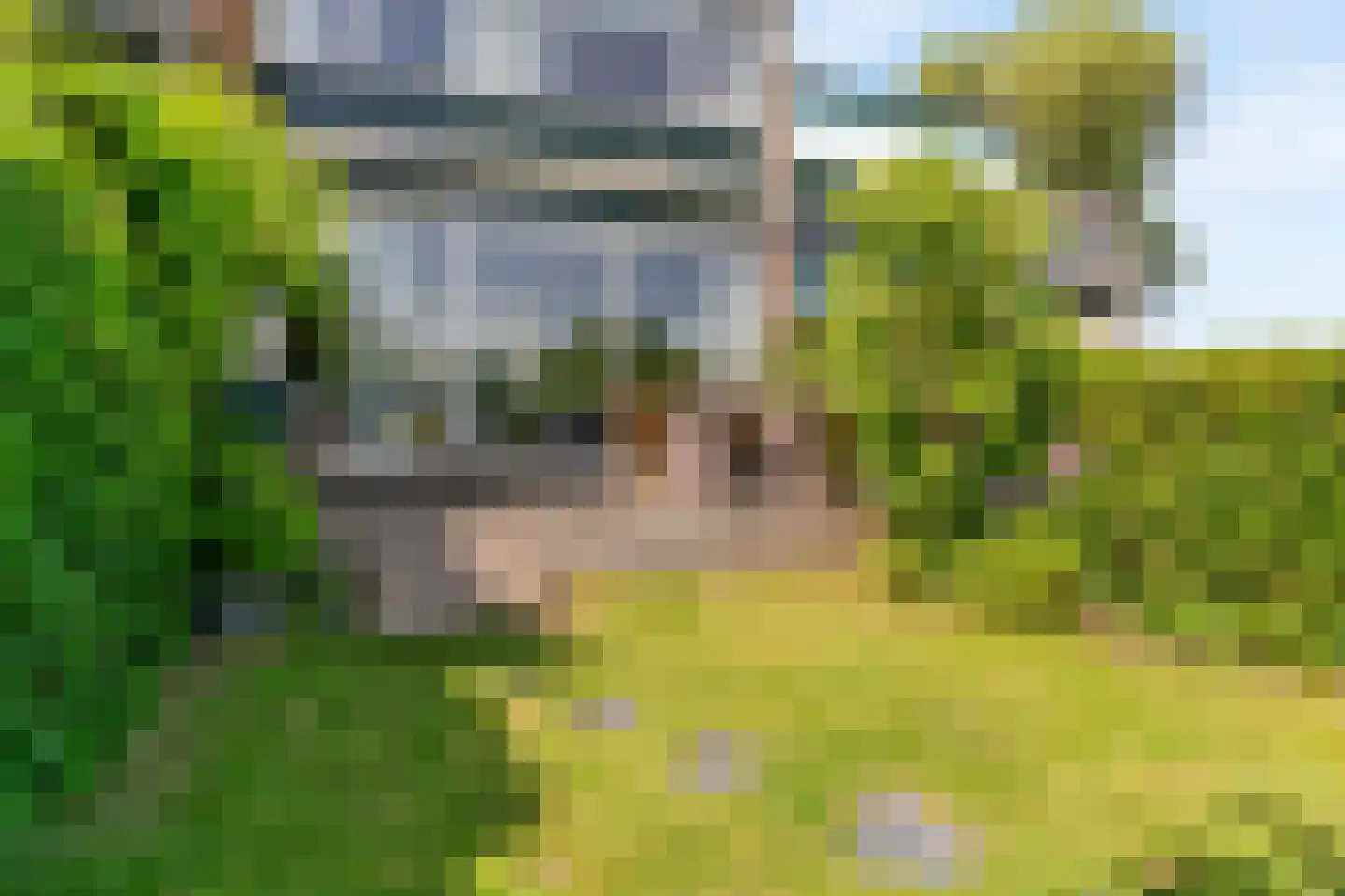 Zwanenzijde 14 Leiden thumbnail 35