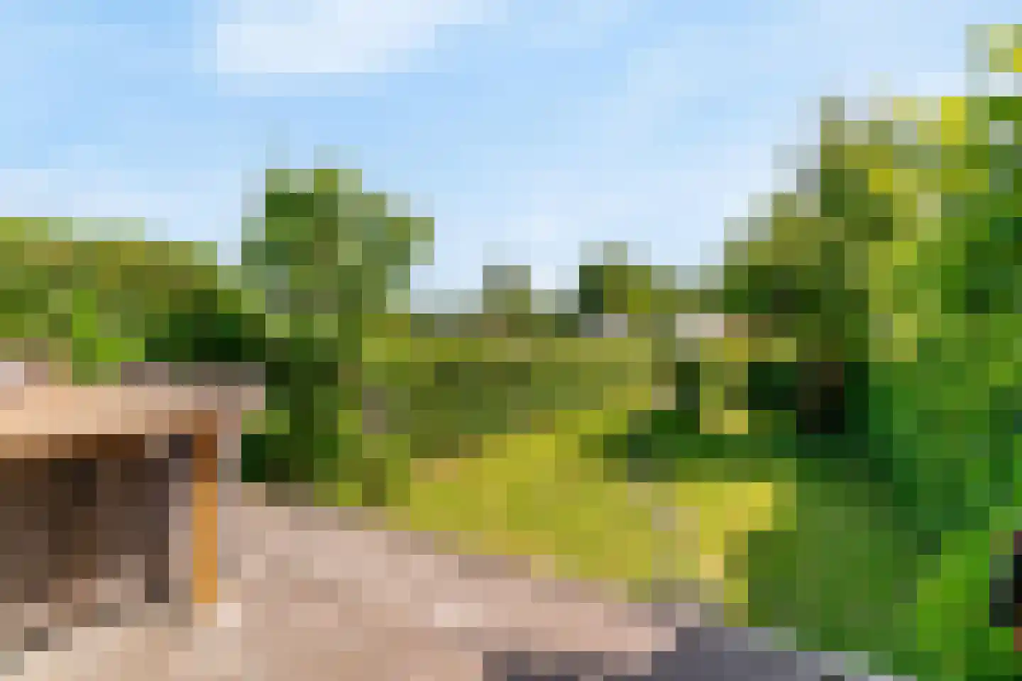 Zwanenzijde 14 Leiden thumbnail 37