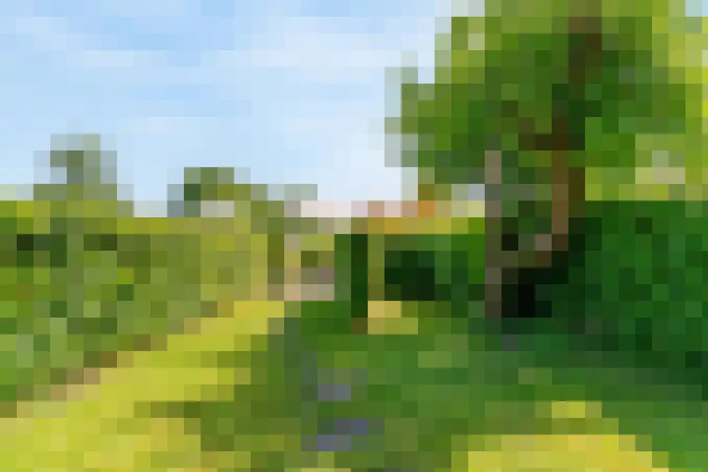 Zwanenzijde 14 Leiden thumbnail 39