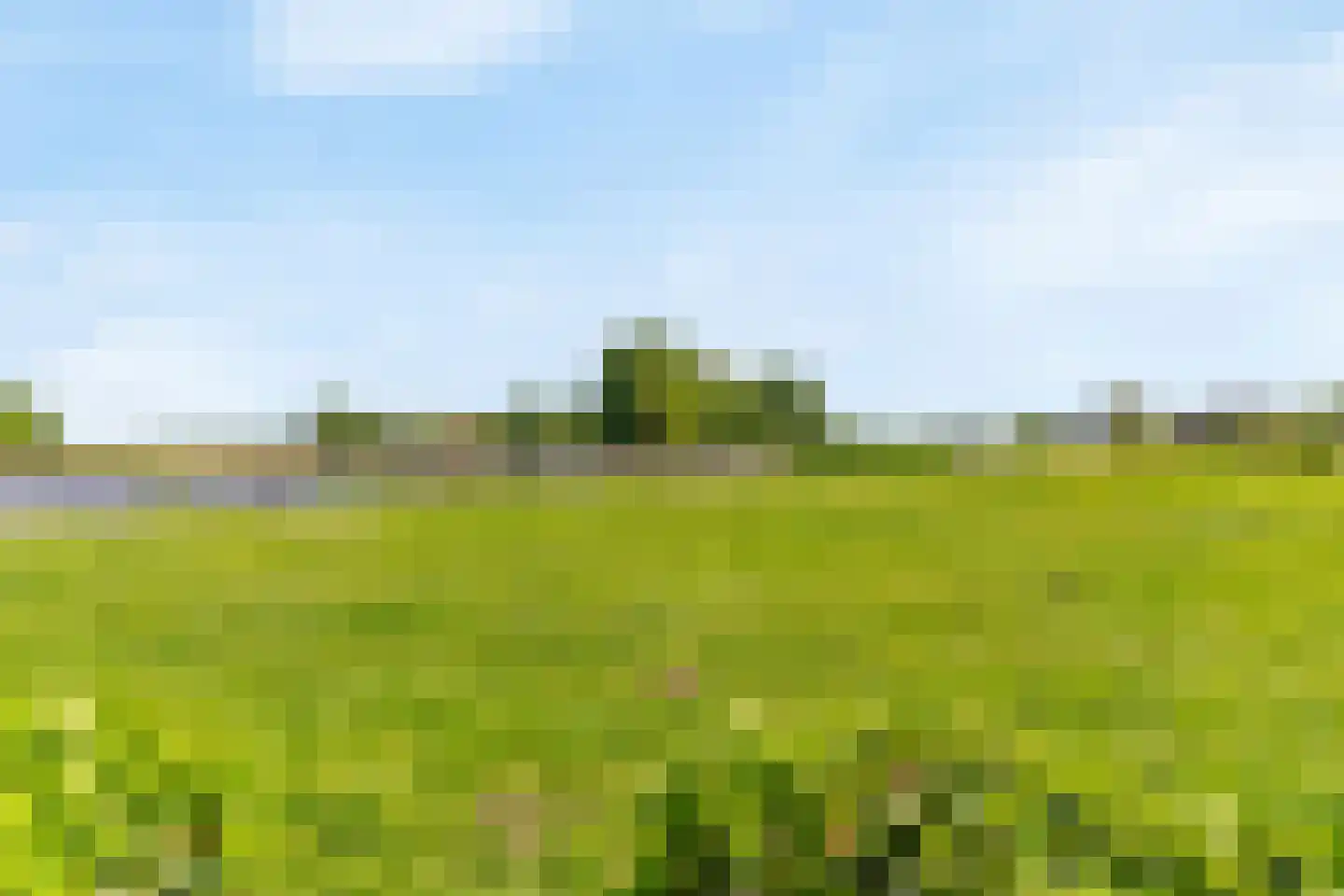 Zwanenzijde 14 Leiden thumbnail 43