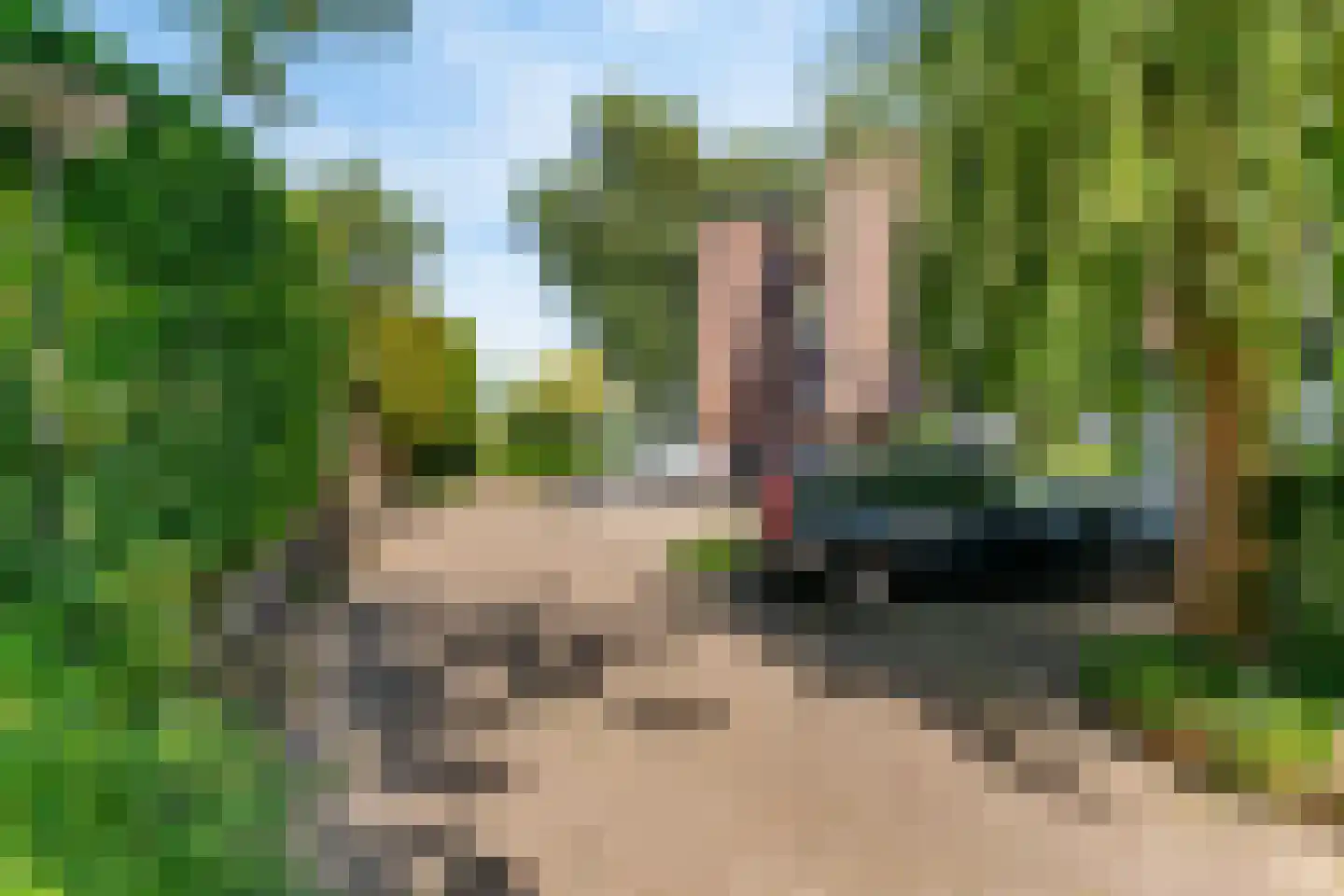 Zwanenzijde 14 Leiden thumbnail 48