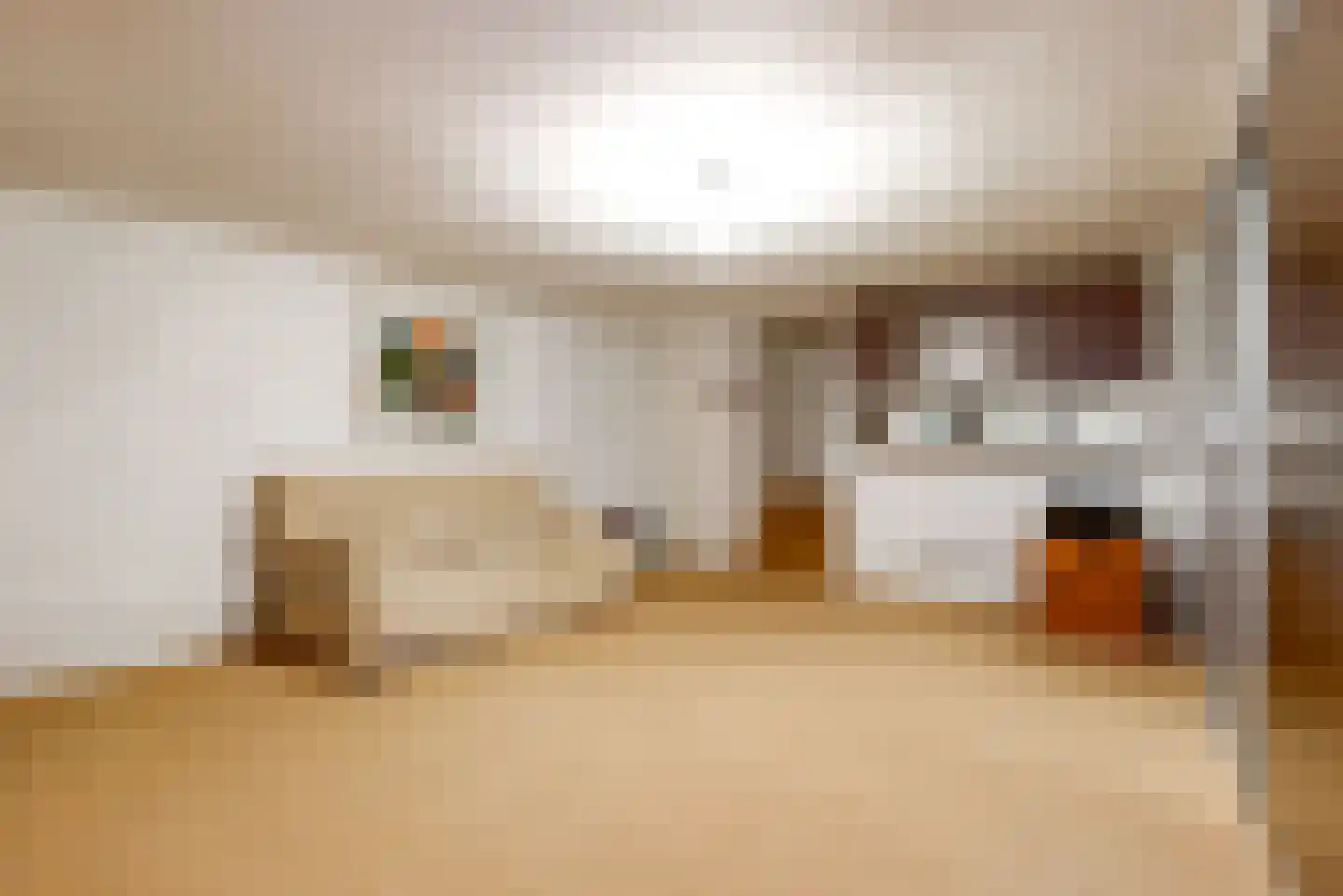 Zwanenzijde 14 Leiden thumbnail 8