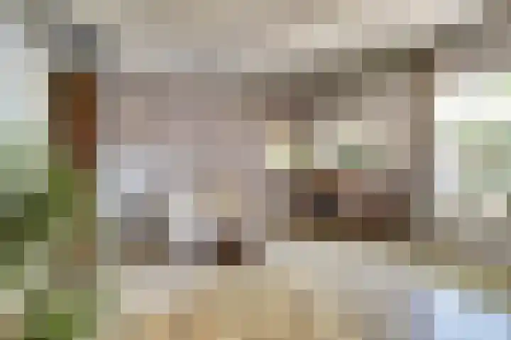 Zwanesteeg 6 Raamsdonksveer thumbnail 10