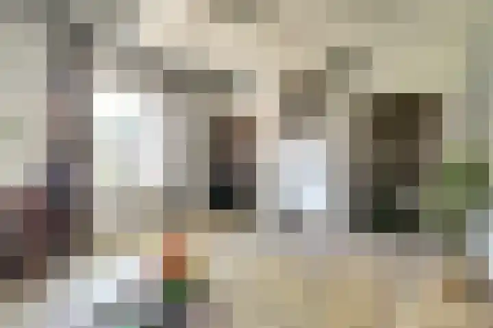 Zwanesteeg 6 Raamsdonksveer thumbnail 11