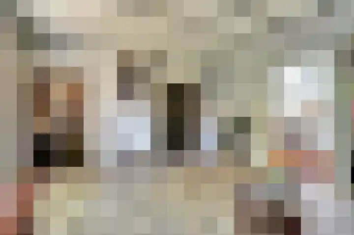 Zwanesteeg 6 Raamsdonksveer thumbnail 12