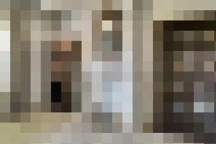 Zwanesteeg 6 Raamsdonksveer thumbnail 13