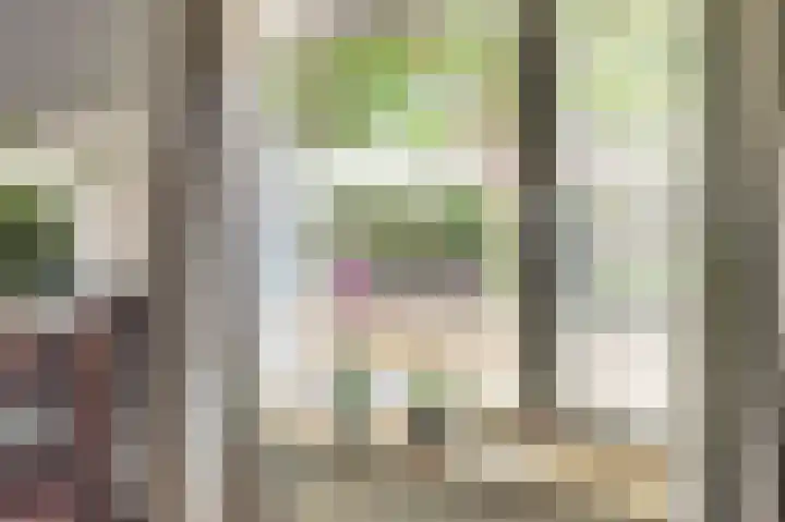 Zwanesteeg 6 Raamsdonksveer thumbnail 14