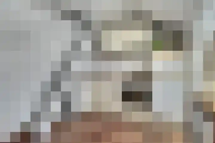 Zwanesteeg 6 Raamsdonksveer thumbnail 16