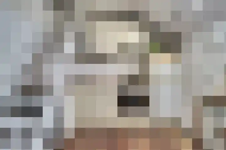 Zwanesteeg 6 Raamsdonksveer thumbnail 17