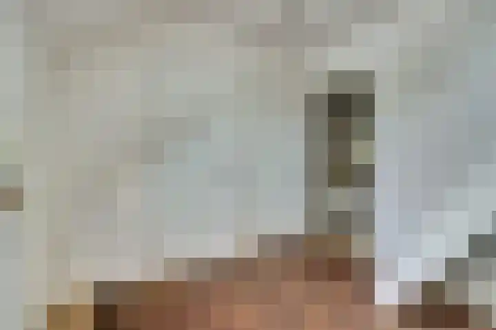Zwanesteeg 6 Raamsdonksveer thumbnail 19