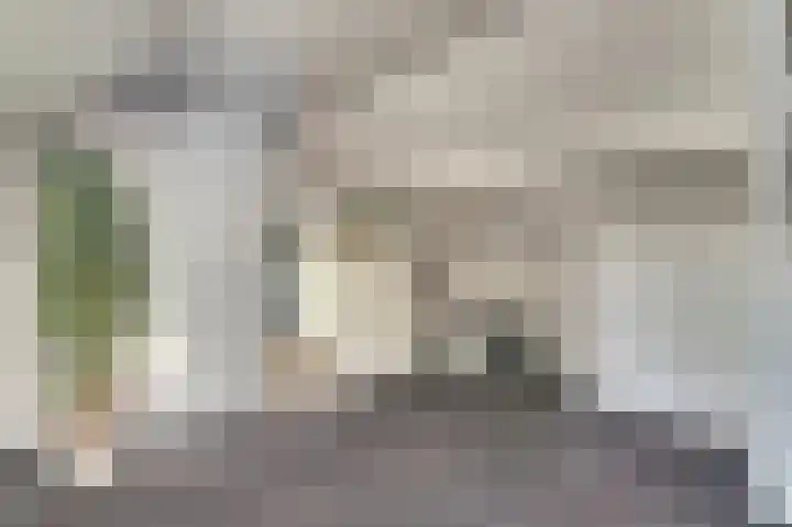 Zwanesteeg 6 Raamsdonksveer thumbnail 20
