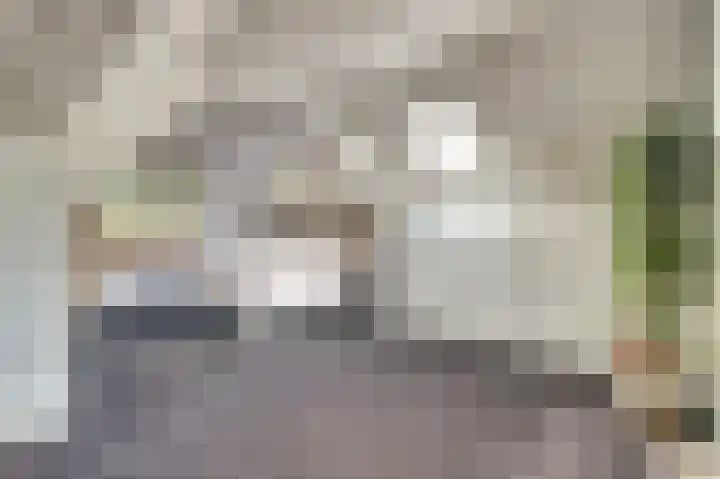 Zwanesteeg 6 Raamsdonksveer thumbnail 21