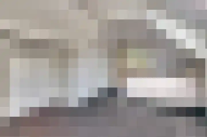 Zwanesteeg 6 Raamsdonksveer thumbnail 22