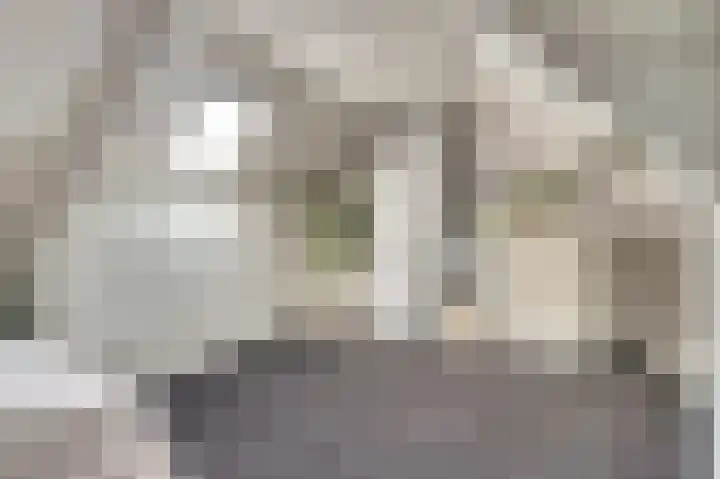 Zwanesteeg 6 Raamsdonksveer thumbnail 23