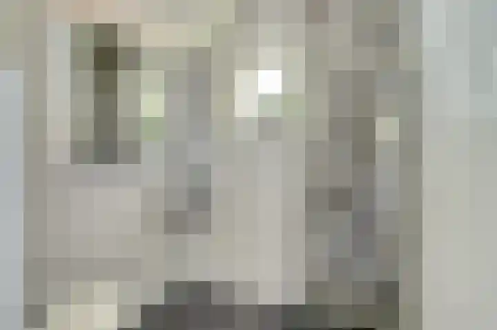 Zwanesteeg 6 Raamsdonksveer thumbnail 24