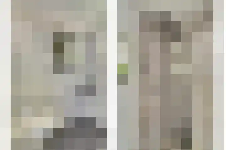 Zwanesteeg 6 Raamsdonksveer thumbnail 25
