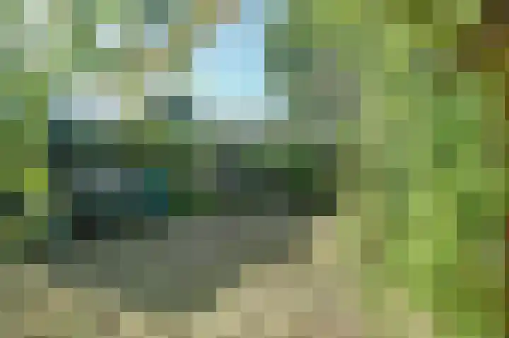 Zwanesteeg 6 Raamsdonksveer thumbnail 28